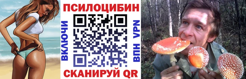 Купить Духовщина Псилоцибиновые грибы мицелий